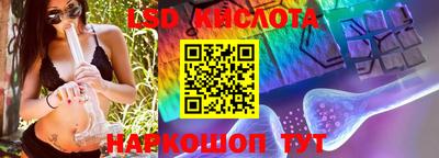 СК Заводоуковск