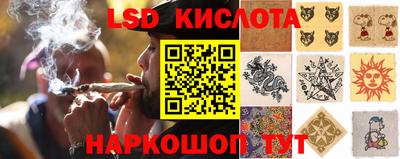 СК Заводоуковск
