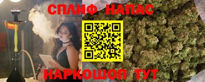 СК Заводоуковск